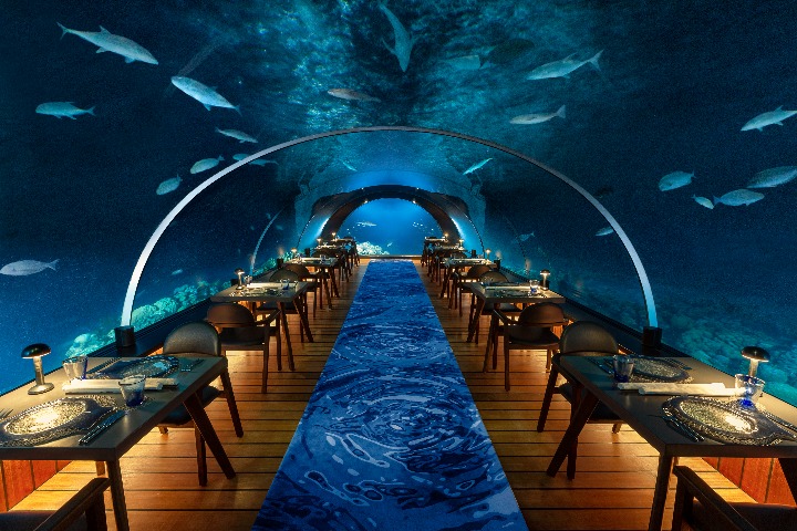 フラワリ・アイランド　モルディブ最大級の水中レストラン