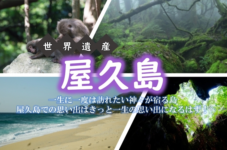 屋久島特設ページ グルービーツアー モルディブ旅行の老舗専門店