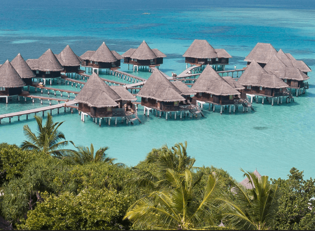 ココパーム・ドゥニコル