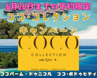 コココレクションキャンペーン