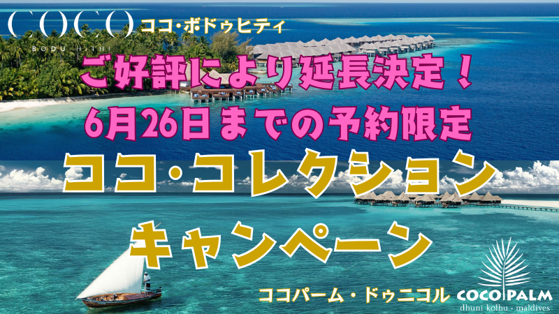 コココレクションキャンペーン