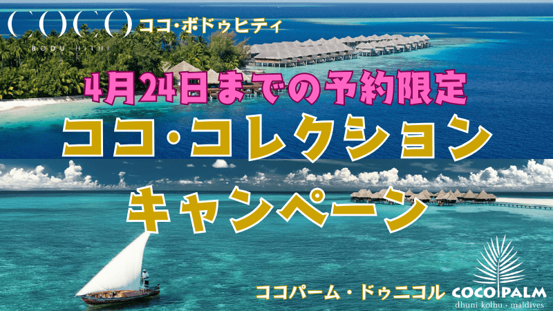 コココレクションキャンペーン