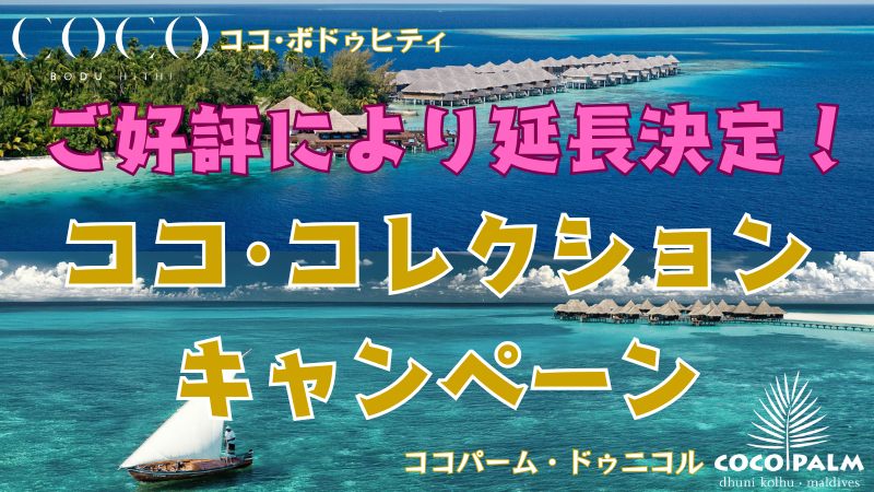 コココレクションキャンペーン