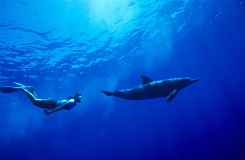 「ボニンブルー」の海を満喫！世界自然遺産の海はやっぱり素晴らしかった！