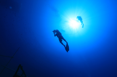 ダイビングは魚の種類が豊富なドロップオフへ