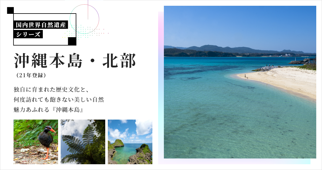 沖縄本島ページ
