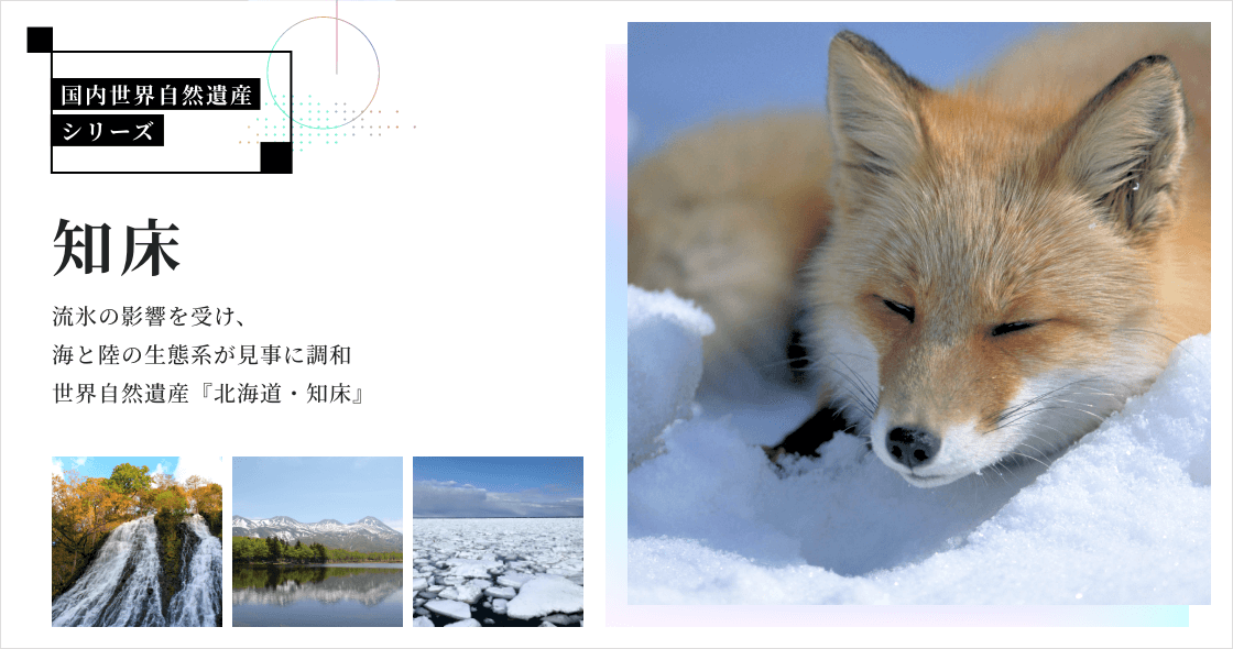 知床ページ