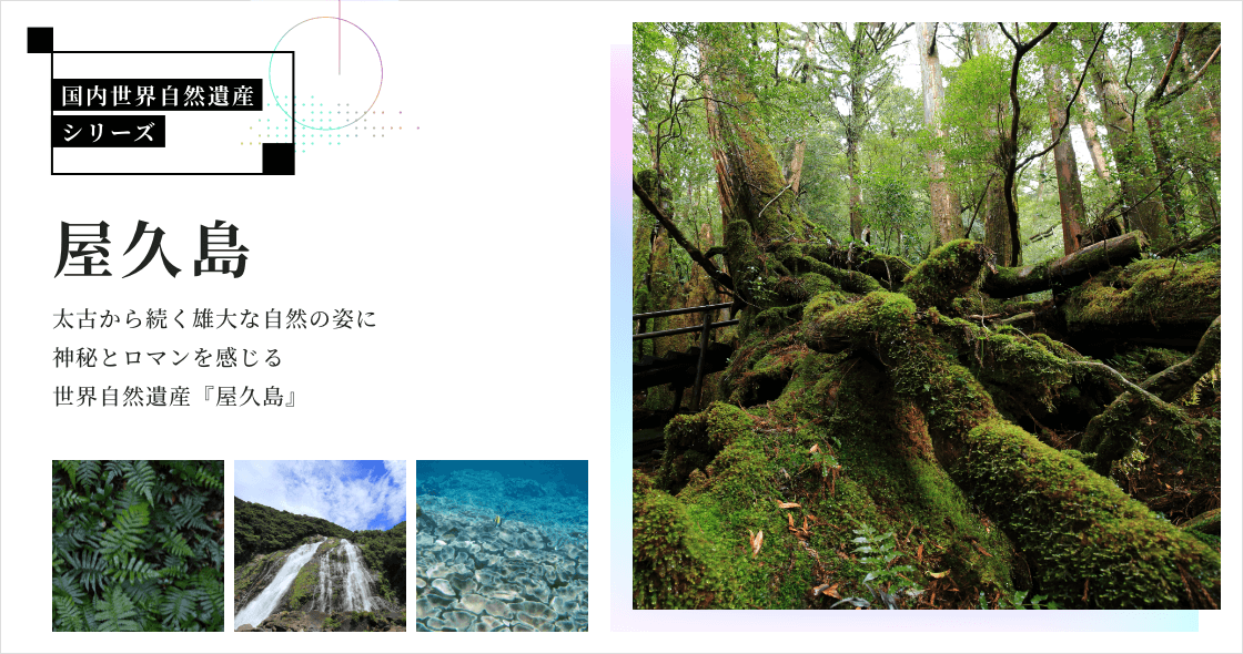 屋久島ページ
