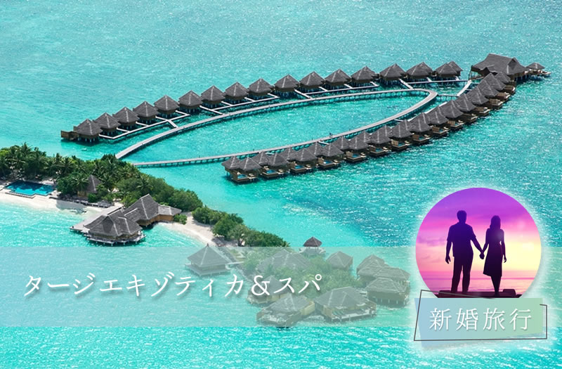 【新婚旅行編】お客様の声～タージ エキゾティカ & スパ～